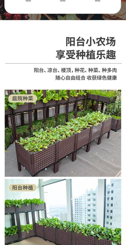 瓢子栽培的关键技术要点是什么？