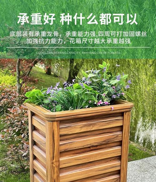 瓢子栽培的关键技术要点是什么？