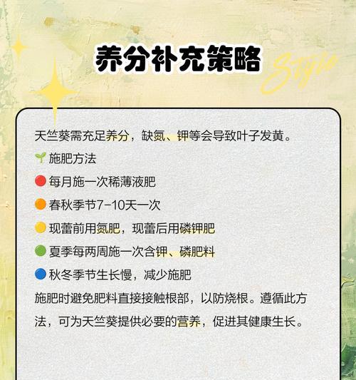 重瓣天竺葵黄叶的原因是什么？如何防治？