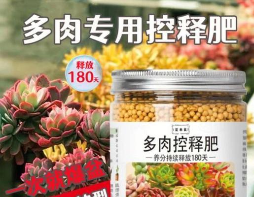 自制家养网红植物肥料的方法？