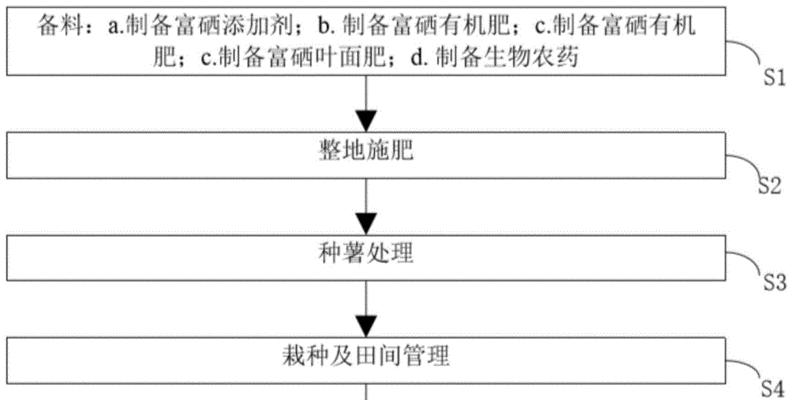 双层套盆种盆景的种植步骤是什么？