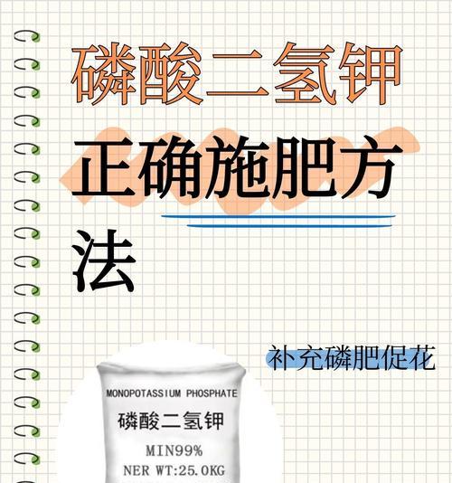 土壤施肥小技巧有哪些？如何正确施肥提高植物生长？