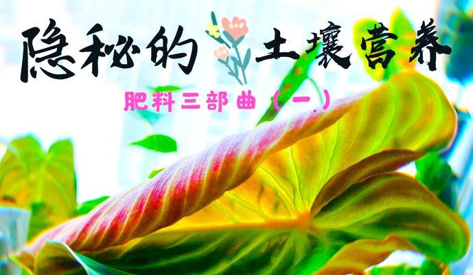 土壤施肥小技巧有哪些？如何正确施肥提高植物生长？