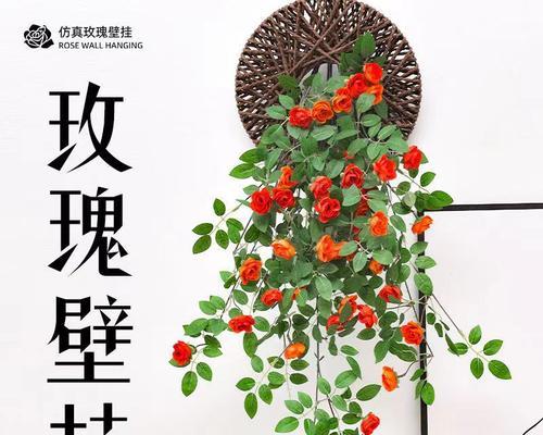 玫瑰藤叶子发黄如何支撑？支撑方法有哪些？