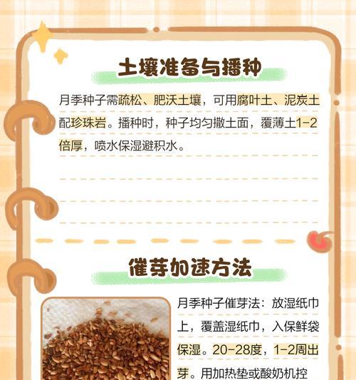 月季花根发芽的正确培养方法是什么？