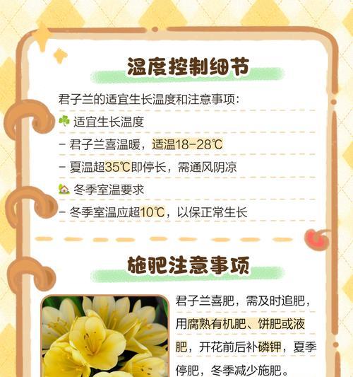 君子兰生长所需的理想土壤类型是什么？