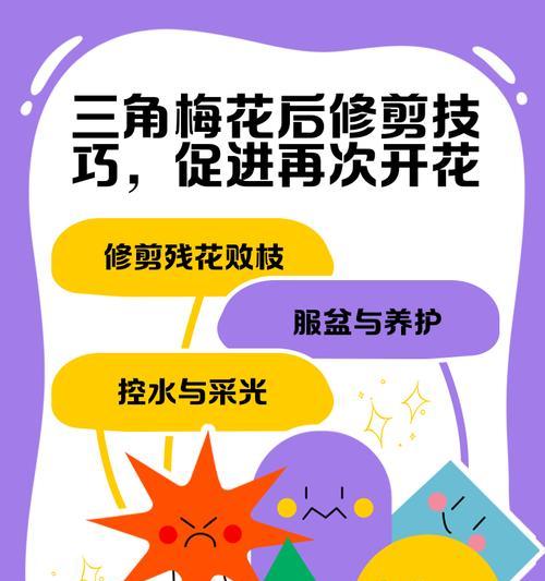 三角梅伞形枝条修剪技巧是什么？
