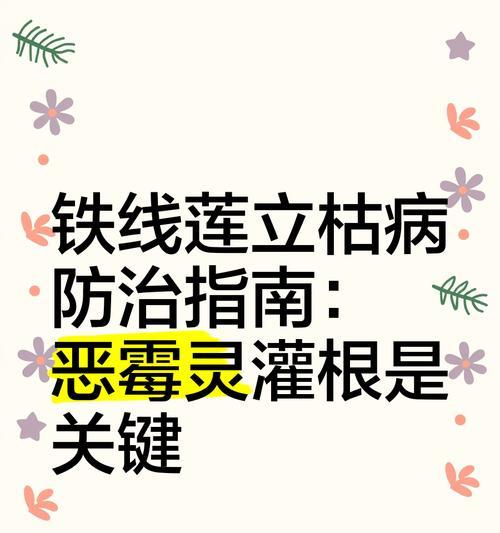 铁线莲根部出现虫害如何处理？有哪些有效的防治措施？