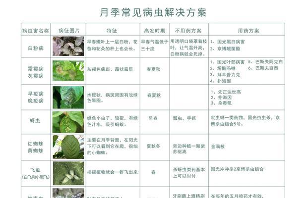 铁线莲根部出现虫害如何处理？有哪些有效的防治措施？