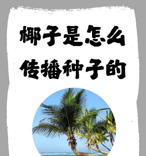 哪些植物通过什么方式传播种子？种子传播机制解析？