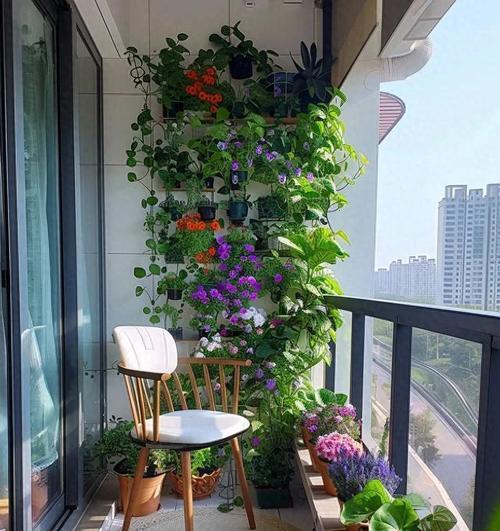 阳台改造后适合养哪些花？如何打造美观的阳台花园？