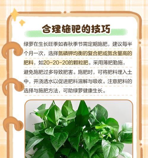 绿萝叶子全部发黄是怎么回事儿啊？如何解决绿萝叶子发黄问题？