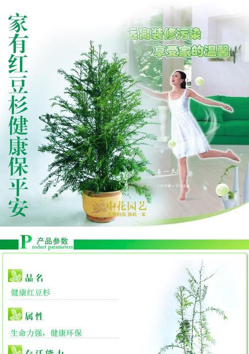 盆景树苗快递到后如何正确养护？