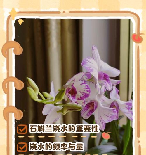 自助浇水的方法和原理是什么？如何正确使用自助浇水系统？