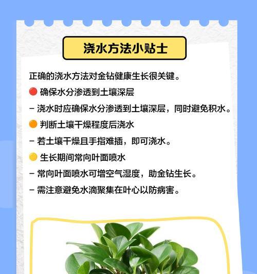 自助浇水的方法和原理是什么？如何正确使用自助浇水系统？