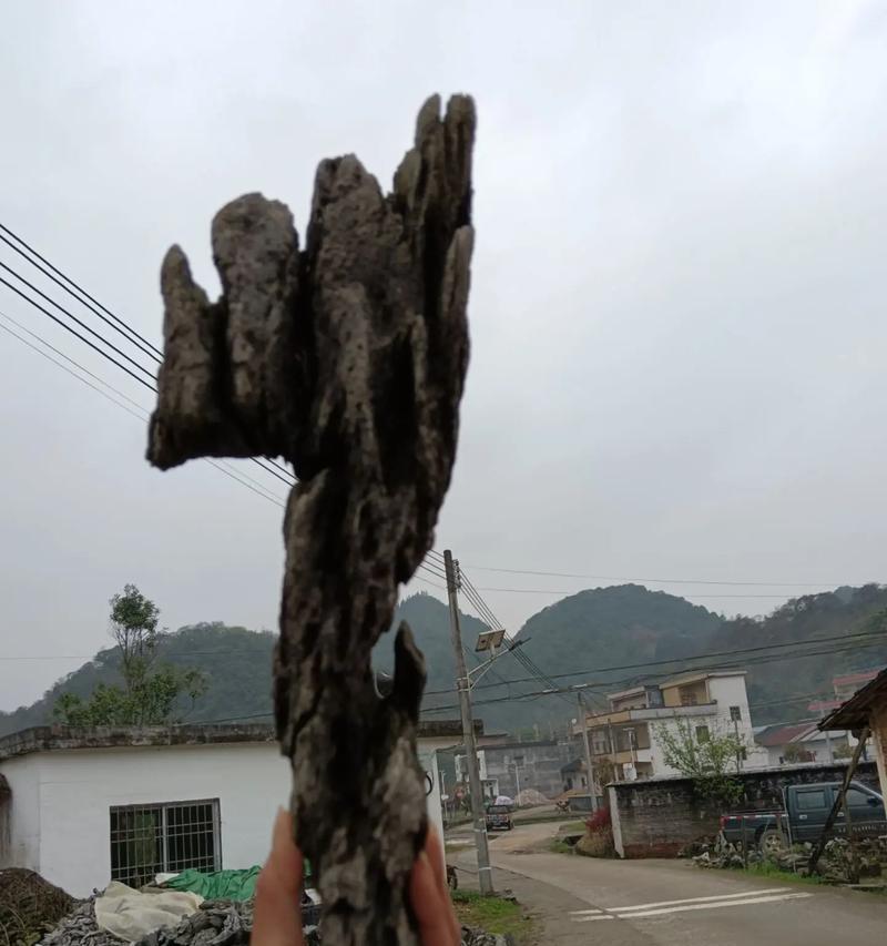 庭院盆景条石怎么做的？制作步骤是什么？