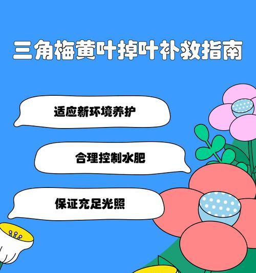 三角梅怎么叶子枯萎了？可能的原因和解决方法是什么？