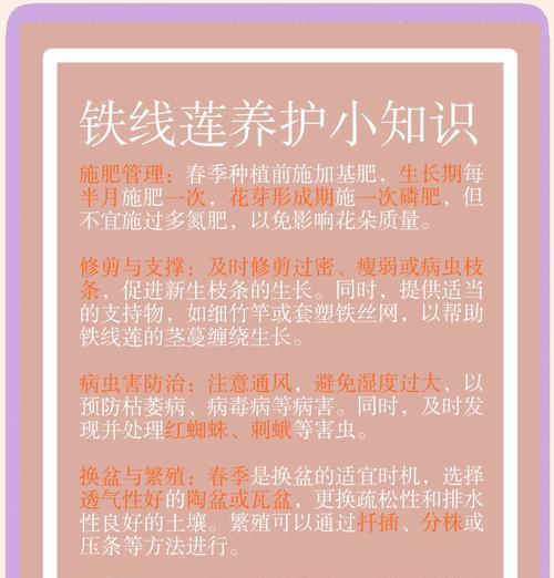 换盆后铁线莲缓苗期浇水方法是什么？