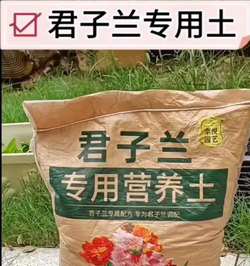 君子兰配方营养土怎么配？如何进行配制？