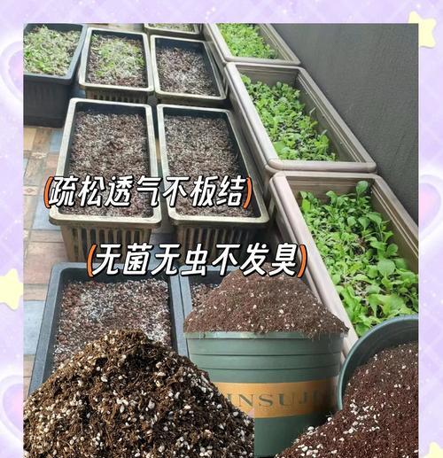君子兰配方营养土怎么配？如何进行配制？
