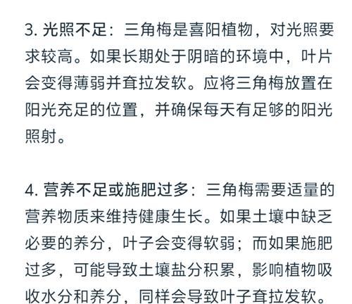 叶子栽培技术的常见问题和解决方法是什么？