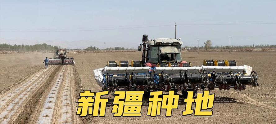 棉花的播种和收割时间是什么时候？