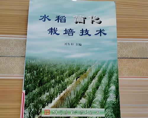 水稻低碳高产栽培技术有哪些？如何实现水稻的低碳高产？