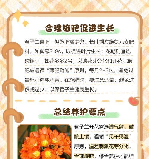 君子兰花期管理需要注意什么？