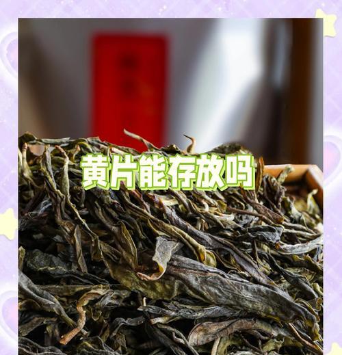 怎么阴干叶子不发黄？阴干过程中的注意事项是什么？