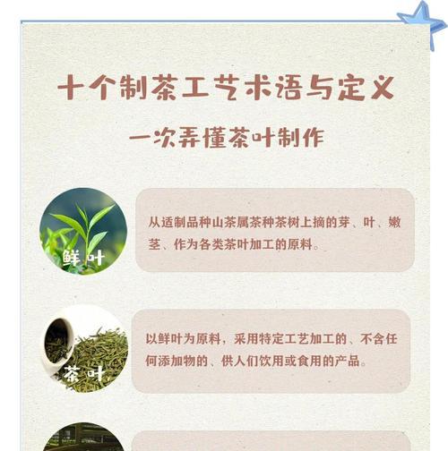 怎么阴干叶子不发黄？阴干过程中的注意事项是什么？