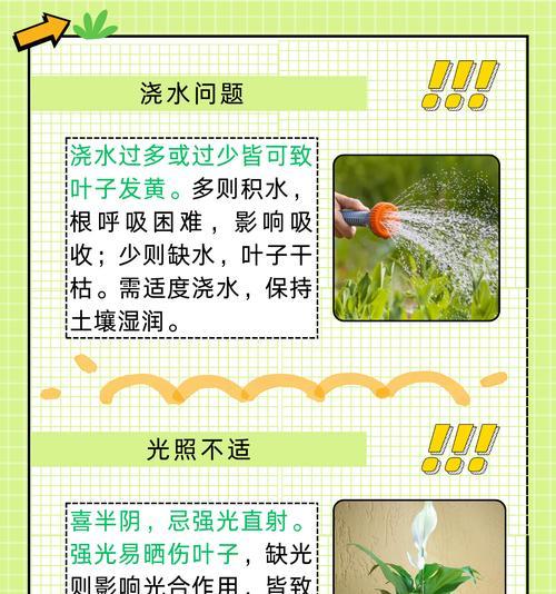 花朵叶子尖发黄怎么办呢？如何诊断和解决叶子尖发黄问题？