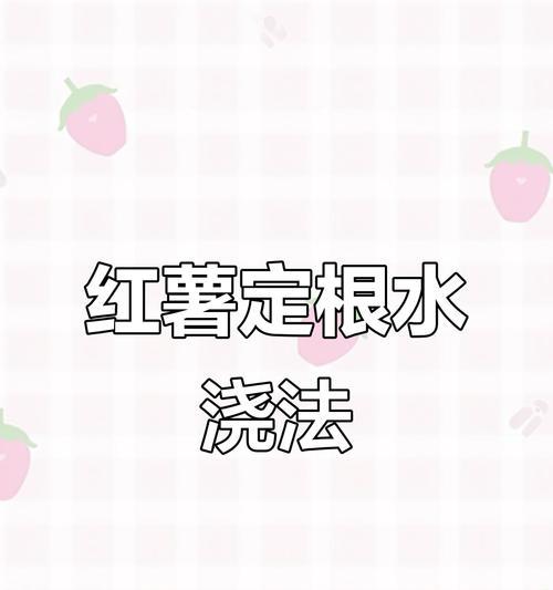 地瓜浇水的最佳方法是什么？如何科学地给地瓜浇水？