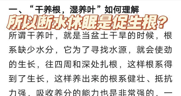 朱顶红出水的原因及解决办法是什么？