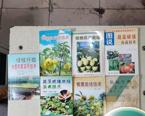 扦插育苗有哪些种植栽培技术？