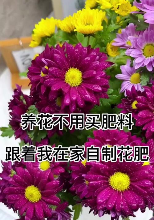 自制花肥的步骤和注意事项是什么？