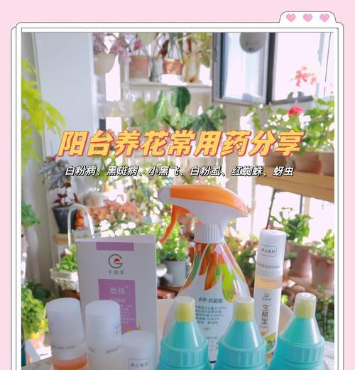 阳台花卉如何避免晒死？原因是什么？