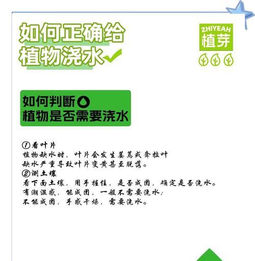 大规模植物浇水的正确方法是什么？