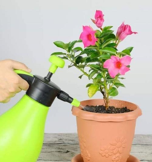 大规模植物浇水的正确方法是什么？