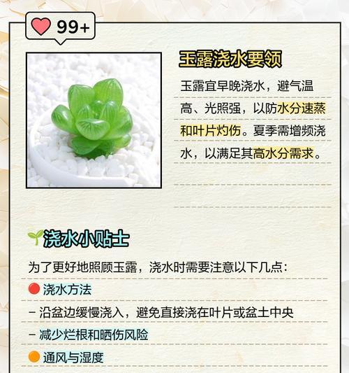 绿植浇水应该加什么？正确的绿植浇水方法是什么？