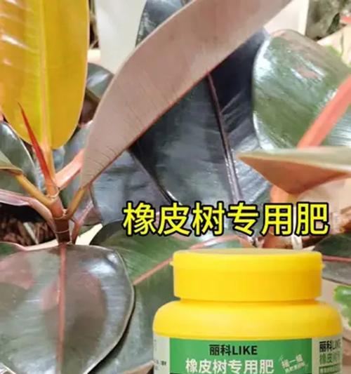 给树自制肥料的方法有哪些？