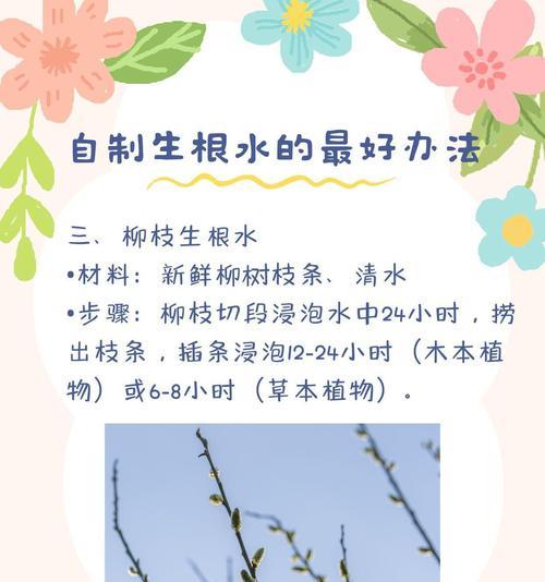 自制生根肥料的步骤是什么？哪种配方最有效？