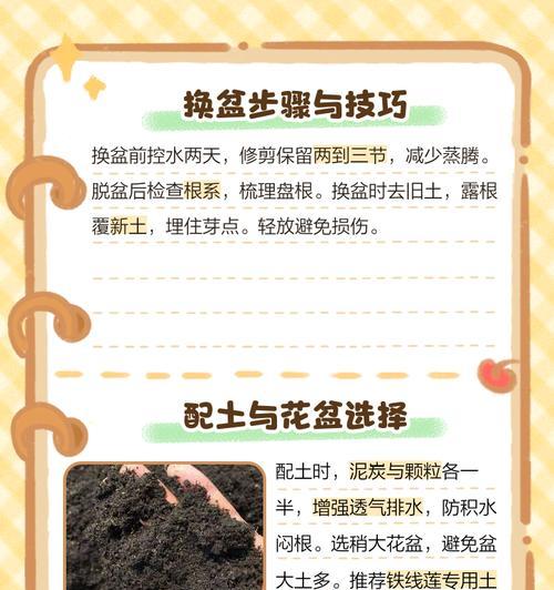 铁线莲秋天换盆后的养护和浇水技巧？