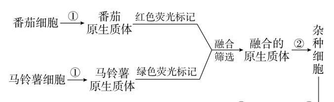 杂交植物的最佳播种时间是什么时候？