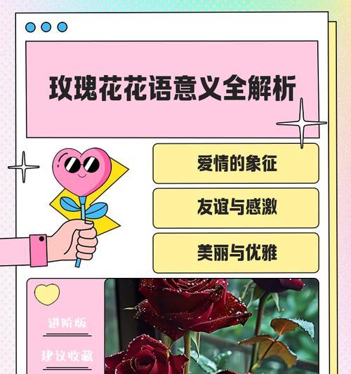一杯花的寓意和表达的情感是什么？