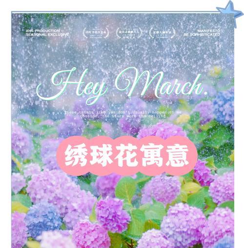 哪些花寓意表达爱？它们的象征意义是什么？