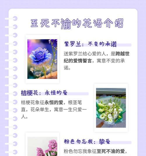 哪些花寓意表达爱？它们的象征意义是什么？