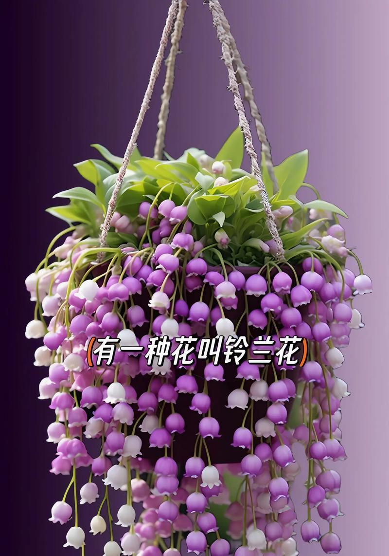 给儿童送花的含义及其花语是否适合他们？