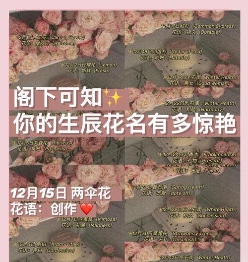 菠萝花的寓意是什么？使用时有哪些禁忌？
