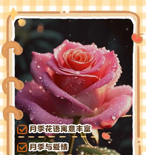 花卉搭配时应注意哪些花语和寓意？如何正确搭配花卉？