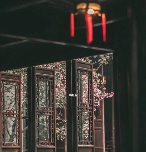 解雨臣象征的花种类是什么？这些花的特别之处在哪里？